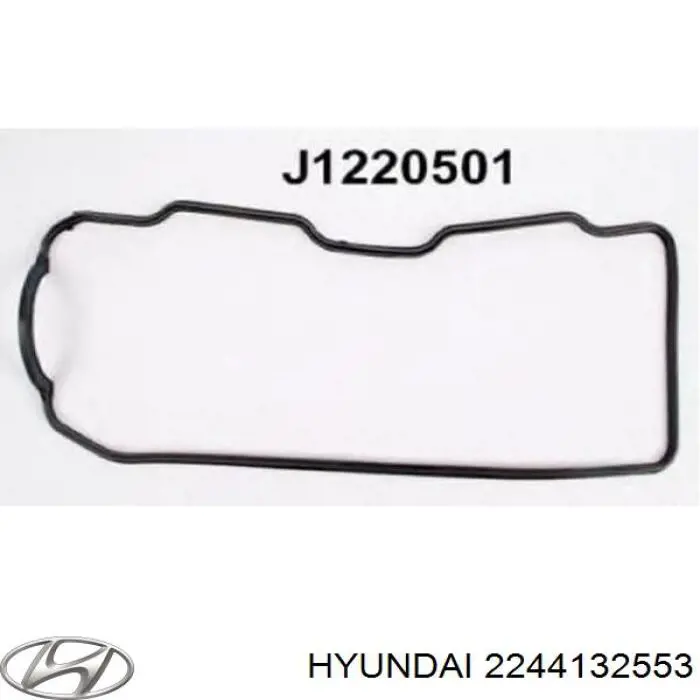 2244132553 HYUNDAI KIA Junta Tapa De Balancines