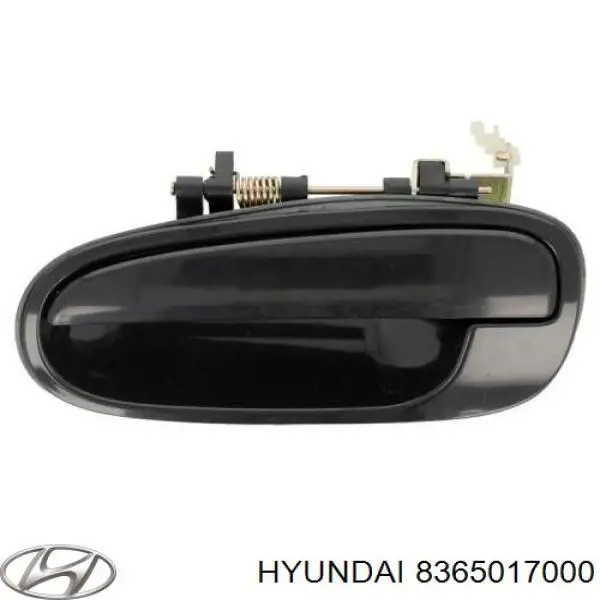 Hyundai Kia Tirador De Puerta Exterior Trasero Izquierdo