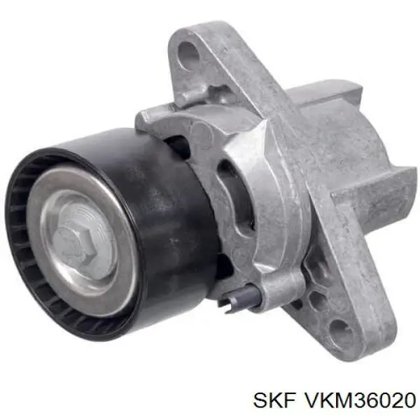 Vkm Skf Tensor De Correa Poli V