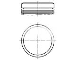Pistón completo para 1 cilindro, STD WG1104618 Wilmink Group