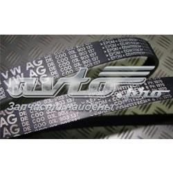 6PK1069 Dayco