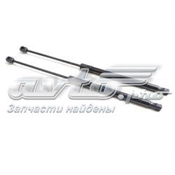 Muelle neumatico maletero VAG 6Y0827550C