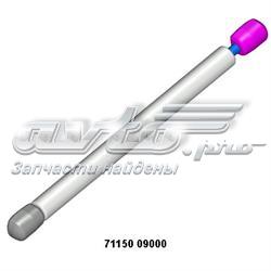 Muelle neumático, tapa delantera Maxgear 122105 precio, desde 16,24 EUR