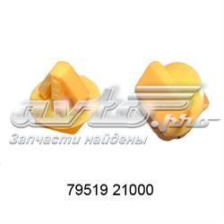 Batería de Arranque Ssang Yong (7951921000)