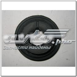 Soporte de montaje, radiador, superior SsangYong Rexton 2 (RJN)