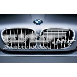 Rejilla de capó para BMW X5 (E53)