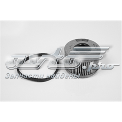 Filtro de combustible CFF100252 Champion