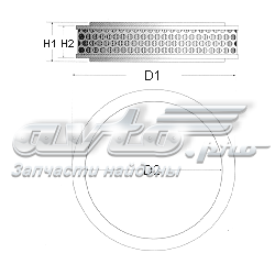 Filtro aire Champion CAF100106R