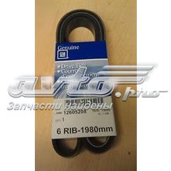 12605208 General Motors Correa poly v