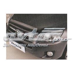 Deflector de capó para Toyota RAV4 