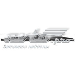 116340 SWF