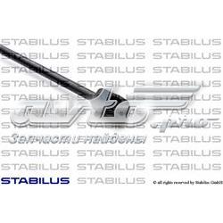 Amortiguador de maletero 024284 Stabilus