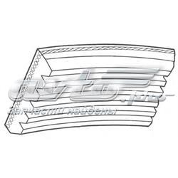 6PK1620 Dayco Correa poly v