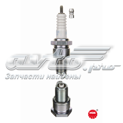 Comprar 4008 NGK Bujía de encendido