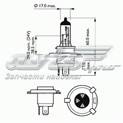 H412V50L Magneti Marelli