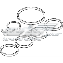 Junta colector de admisión Renault (RVI) 147229153R
