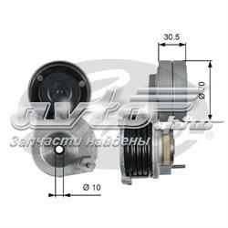 Tensor de correa poli V T38664 Gates