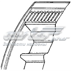 1429401 Lemforder correa trapezoidal