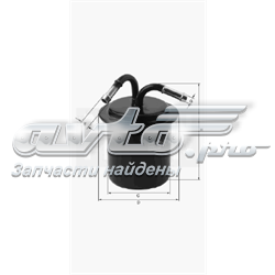 L597 Champion