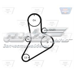 ZRK1205 Optibelt Correa dentada