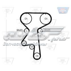 Correa distribución ZRK1256 Optibelt