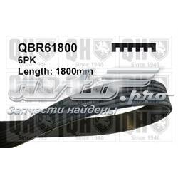 QBR61800 QUINTON HAZELL Correa poly v