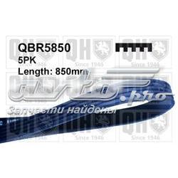 Correa trapezoidal nervada V40  hatchback (2012-2019) original desde 10,55 €