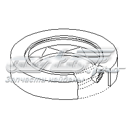 200761885 Hans Pries (Topran) anillo retén, diferencial eje trasero