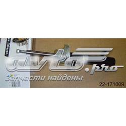 amortiguador frontal derecho Bilstein 22171009