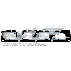 713815800 Victor Reinz