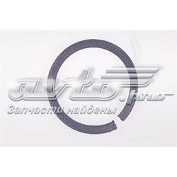 701972200 Victor Reinz