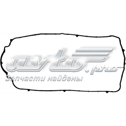 713791200 Victor Reinz