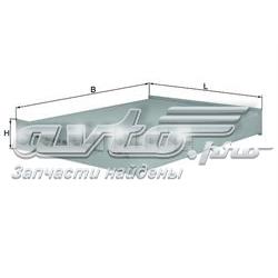 CAF228901 Open Parts Filtro antipolen