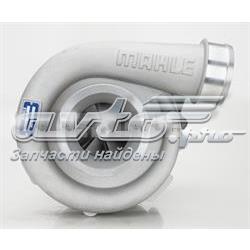 213TC17336000 Mahle Original