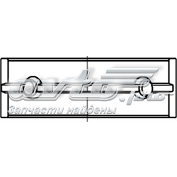 021HS20012000 Mahle Original