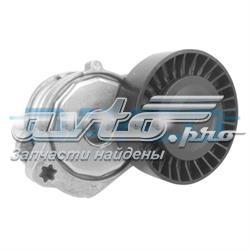 Tensor de la correa trapecial Dayco APV2756 precio, desde 38,43 EUR