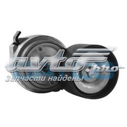 Tensor de correa poli V APV1093 Dayco