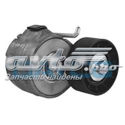 Tensor de correa poli V APV1078 Dayco