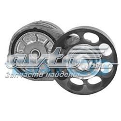 Tensor de correa poli V APV1004 Dayco