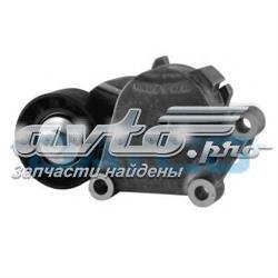 Tensor de correa poli V APV2466 Dayco