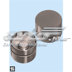 Comprar 50006460 Kolbenschmidt Taqués hidráulicos