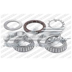 Cojinete de cubo delantero SNR R14196 precio, desde 49,34 EUR