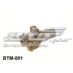  Aisin BTM001