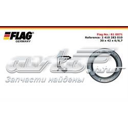 810071 Flag