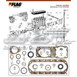 800001 Flag kit de reparación, bomba de alta presión