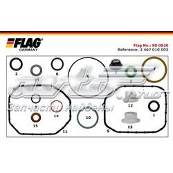 800920 Flag kit de reparación, bomba de alta presión