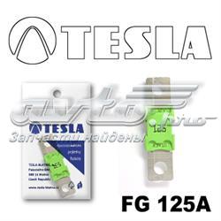 FG125A Tesla fusible