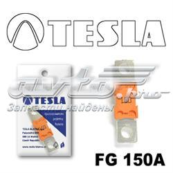 Fusible FG150A Tesla