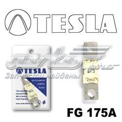 Fusible FG175A Tesla