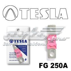 FG 250A Tesla fusible